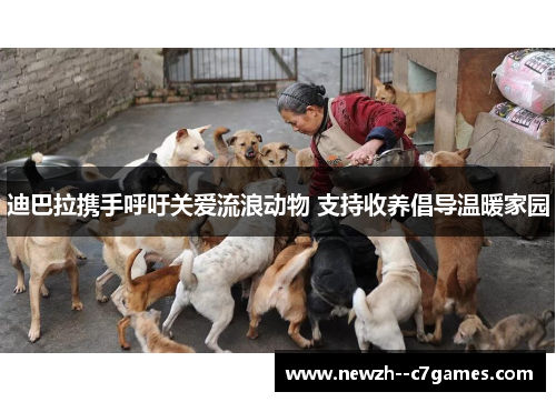 迪巴拉携手呼吁关爱流浪动物 支持收养倡导温暖家园 迪巴拉携手呼吁关爱流浪动物 支持收养倡导温暖家园